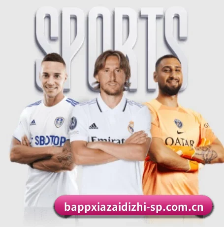 b体育app APP 界面 | bsport